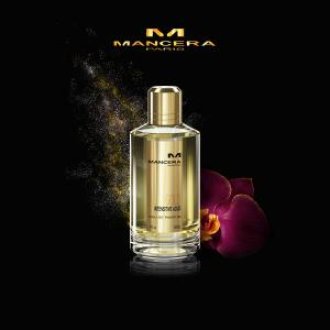 Mancera Intensitive Aouds Gold