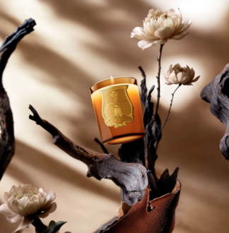 Cire Trudon Altaïr Candle