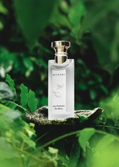 Bvlgari Eau Parfumée Thé Blanc 150ml Eau De Toilette
